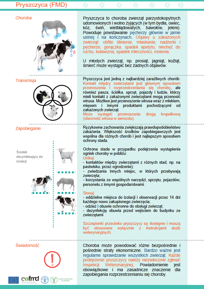 Ulotka Informacyjna - PRYSZCZYCA